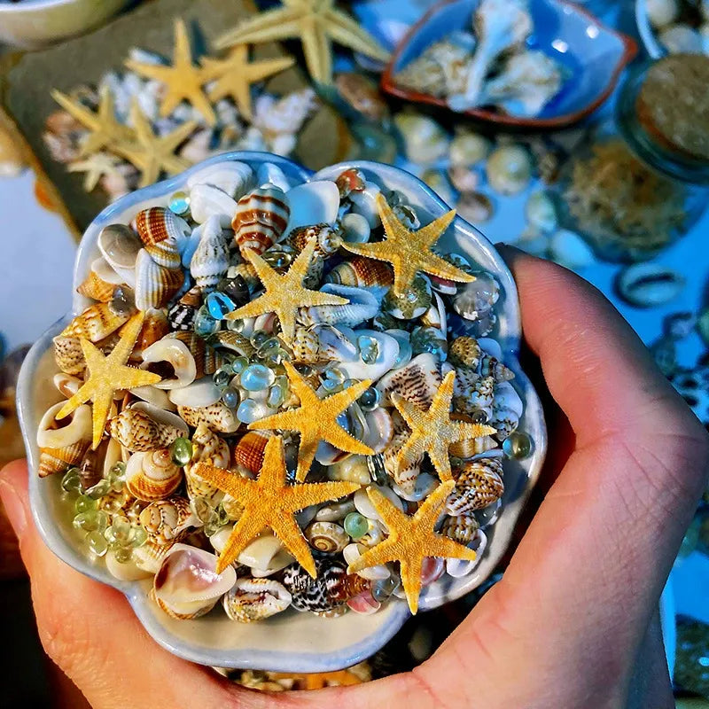 🌊Sea Treasures in a Bottle